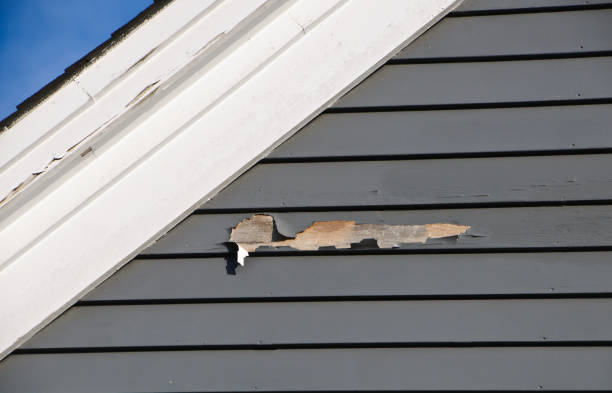 Professional Junk Removal in Stanfield, OR